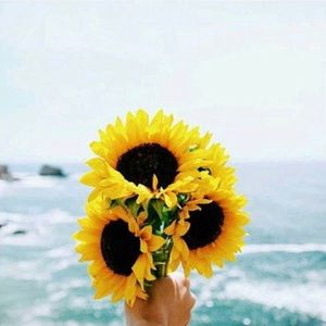 Meet your Posher, Simone